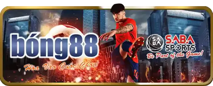 Câu hỏi thường gặp về MV88